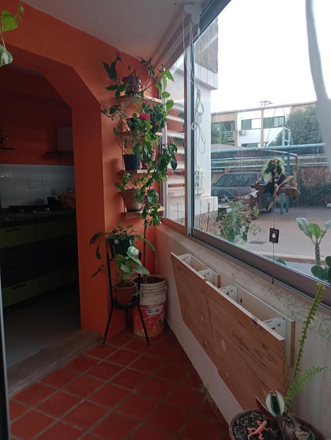 La Casa De Emma Apartment Cordoba